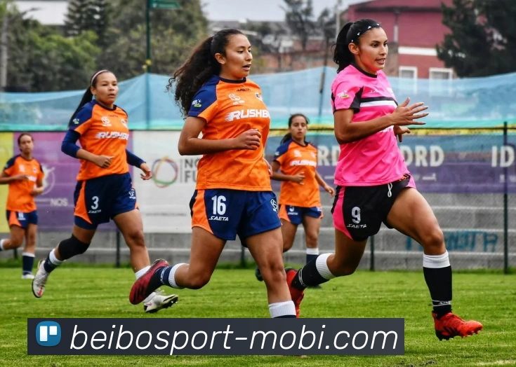 贝博体育发展历程